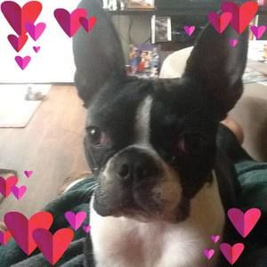 Meet your Posher, Lonnie